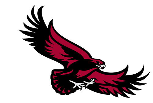 Saint Joseph University Men's Lacrosse